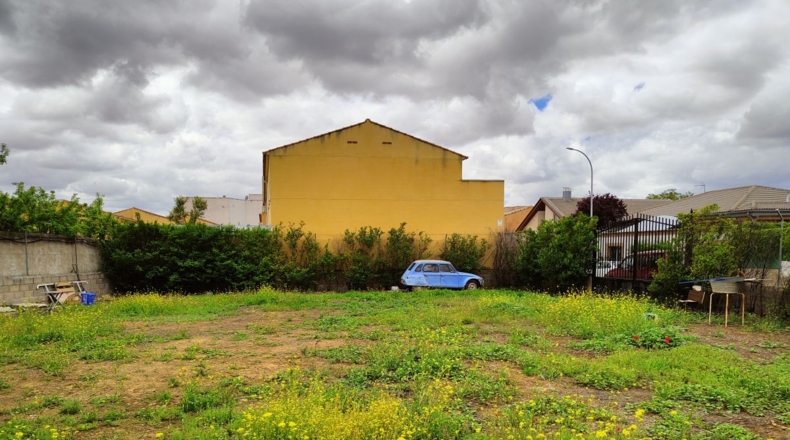 Ciudad Real - Valdepeñas - 588m2