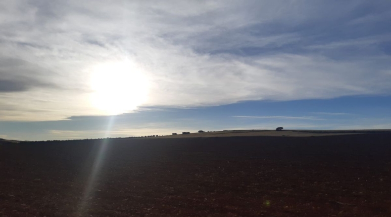 Ciudad Real - Valdepeñas - 27453m2