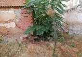 Sòl urbà en venda a Valdepeñas ref.: TR32865 foto