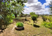Finca rústica en venda a Valdepeñas ref.: TR13504 foto