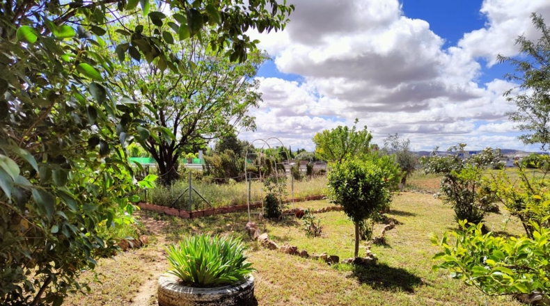 Ciudad Real - Valdepeñas - 10000m2