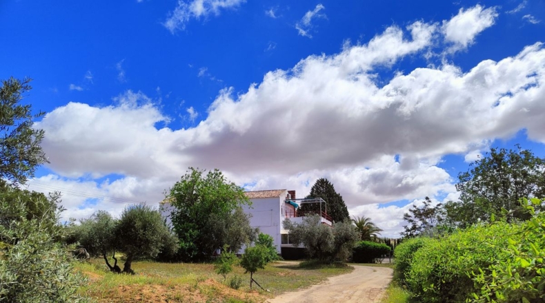 Ciudad Real - Valdepeñas - 10000m2