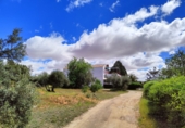 Finca rústica en venda a Valdepeñas ref.: TR13504 foto
