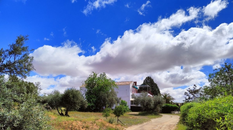 Ciudad Real - Valdepeñas - 10000m2