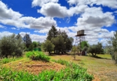 Finca rústica en venda a Valdepeñas ref.: TR13504 foto