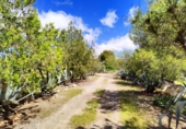 Finca rústica en venda a Valdepeñas ref.: TR13504 foto