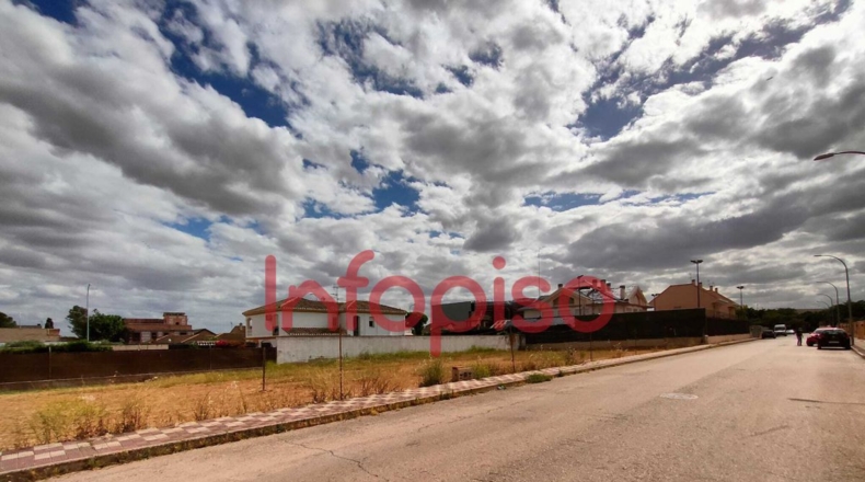 Ciudad Real - Valdepeñas - 802m2