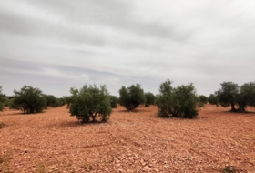 Valdepeñas 10000&nbsp;m² 