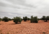 Non-developable land for sale in Valdepeñas ref: TR53106 photo