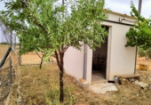 Non-developable land for sale in Valdepeñas ref: TR110824 photo