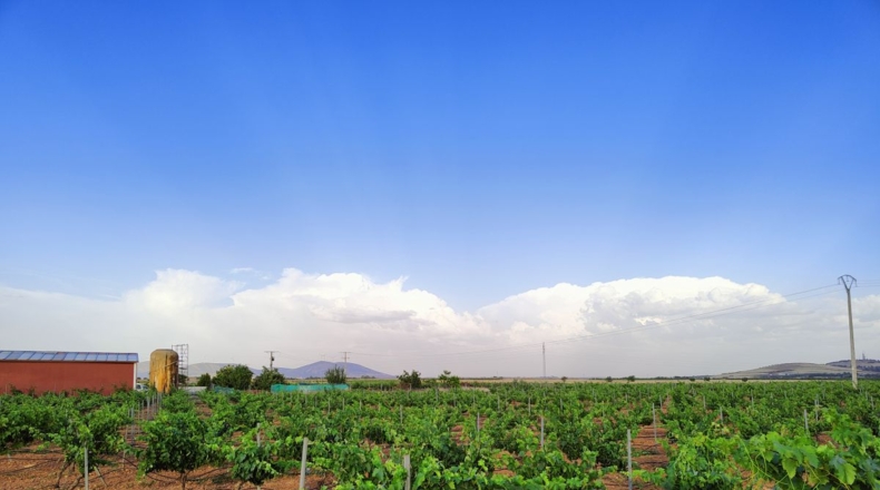 Ciudad Real - Consolación - 60000m2