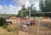 Finca rústica en venda a Valdepeñas ref.: TR53105 foto