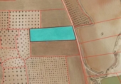 Non-developable land for sale in Torrenueva ref: TR53102 photo