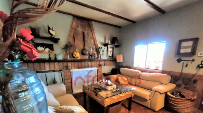Ciudad Real - Valdepeñas - 9500m2