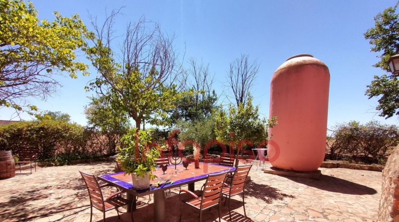 Ciudad Real - Valdepeñas - 9500m2
