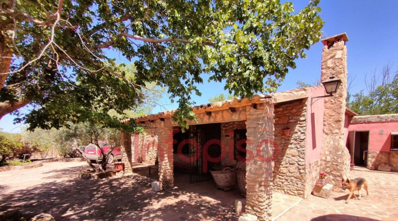 Ciudad Real - Valdepeñas - 9500m2