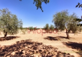 Casa de camp amb terreny en venda a Valdepeñas ref.: TR15760 foto