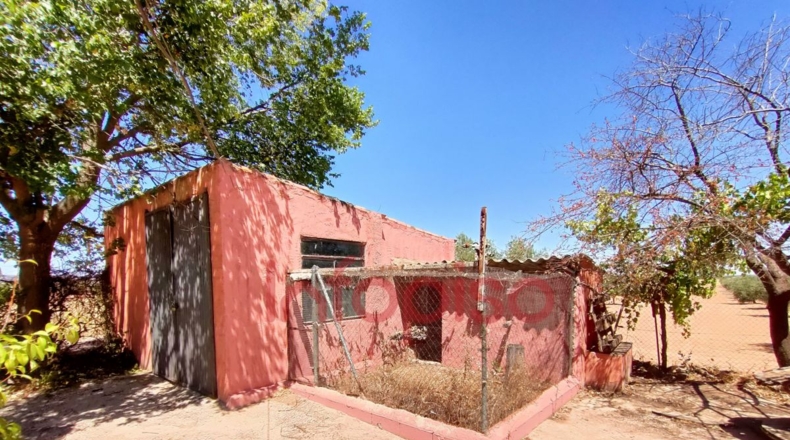 Ciudad Real - Valdepeñas - 9500m2