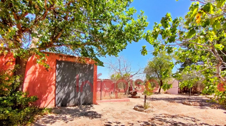 Ciudad Real - Valdepeñas - 9500m2
