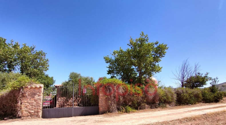Ciudad Real - Valdepeñas - 9500m2