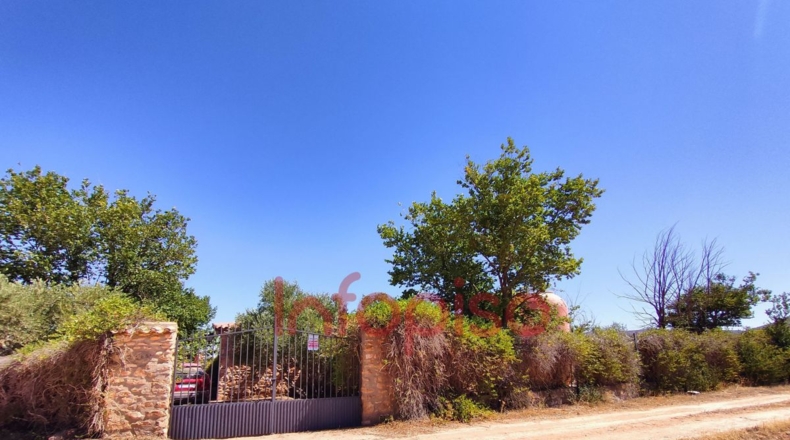 Ciudad Real - Valdepeñas - 9500m2