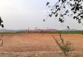 Finca rústica en venda a Valdepeñas ref.: TR93162 foto