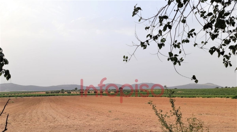 Ciudad Real - Valdepeñas - 25000m2