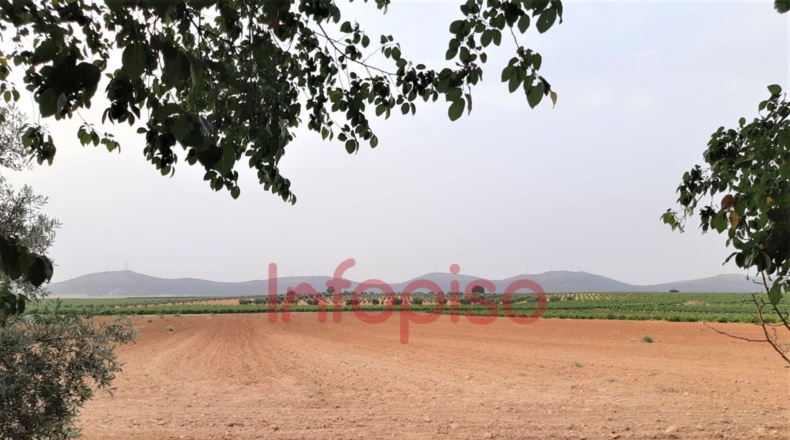 Ciudad Real - Valdepeñas - 25000m2