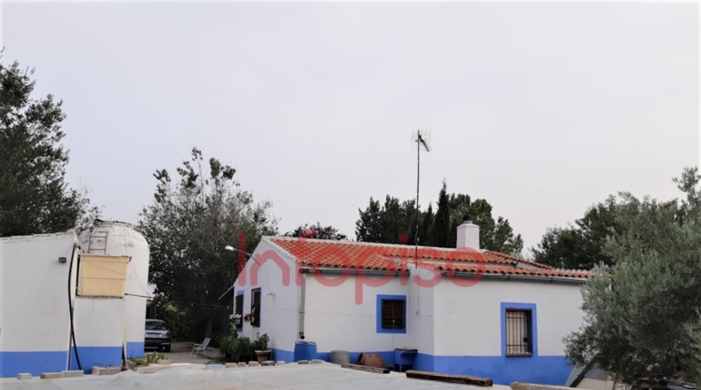 Ciudad Real - Valdepeñas - 25000m2
