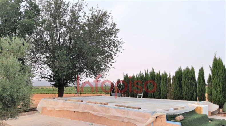 Ciudad Real - Valdepeñas - 25000m2