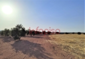 Terreny no urbanitzable en venda a Valdepeñas ref.: TR53094 foto