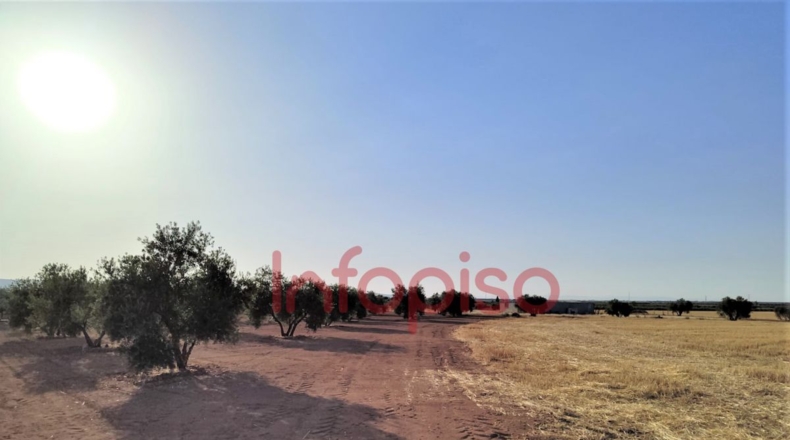 Ciudad Real - Valdepeñas - 100000m2