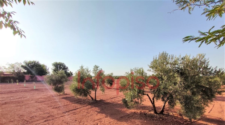 Ciudad Real - Valdepeñas - 100000m2