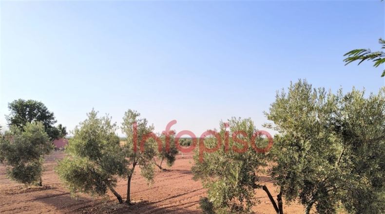 Ciudad Real - Valdepeñas - 100000m2