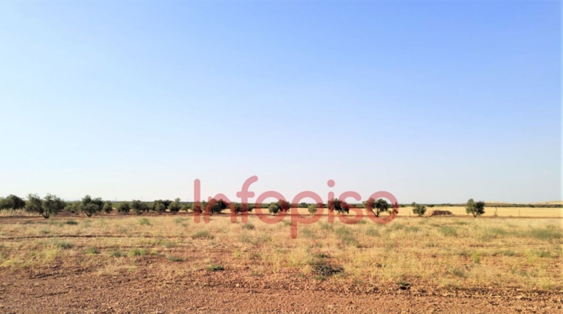 Ciudad Real - Valdepeñas - 100000m2