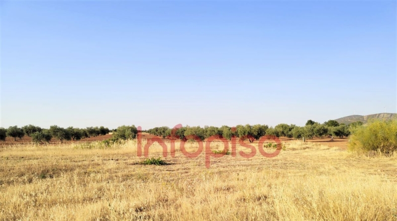 Ciudad Real - Valdepeñas - 100000m2