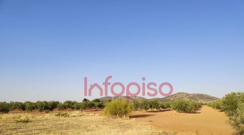 Ciudad Real - Valdepeñas - 100000m2
