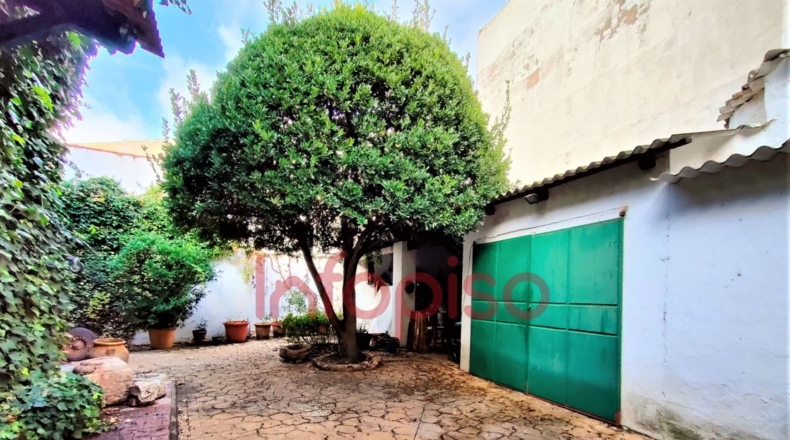 Ciudad Real - Valdepeñas - 410m2