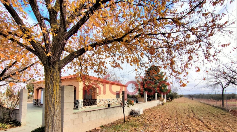 Ciudad Real - Valdepeñas - 5310m2