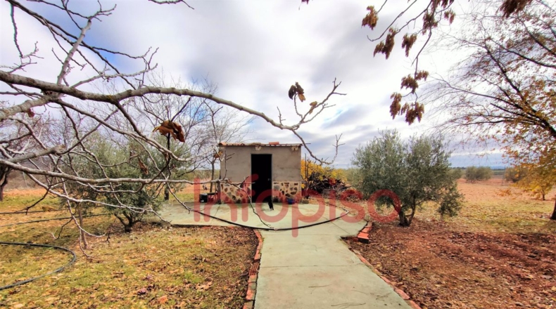 Ciudad Real - Valdepeñas - 5310m2