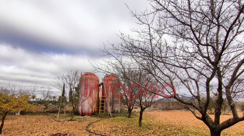 Ciudad Real - Valdepeñas - 5310m2