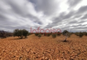 Finca rústica en venda a Valdepeñas ref.: TR13027 foto