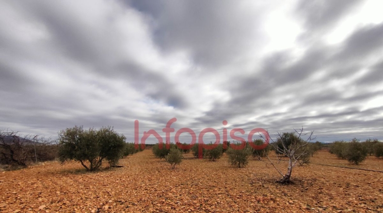 Ciudad Real - Valdepeñas - 5310m2