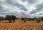 Finca rústica en venda a Valdepeñas ref.: TR13027 foto