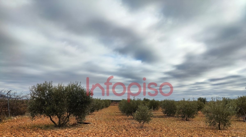 Ciudad Real - Valdepeñas - 5310m2