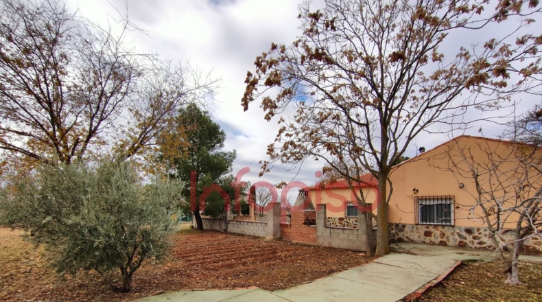 Ciudad Real - Valdepeñas - 5310m2