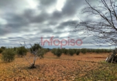 Finca rústica en venda a Valdepeñas ref.: TR13027 foto