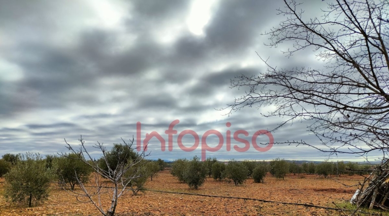 Ciudad Real - Valdepeñas - 5310m2