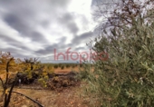 Finca rústica en venda a Valdepeñas ref.: TR13027 foto
