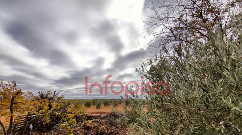 Ciudad Real - Valdepeñas - 5310m2